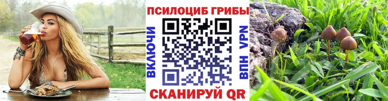 Галлюциногенные грибы Magic Shrooms  Сясьстрой 