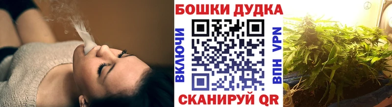 Бошки марихуана гибрид  цена наркотик  Сясьстрой 
